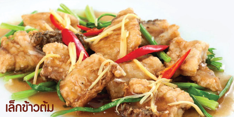 ส่วนลด 10% ค่าอาหาร ที่เล็กข้าวต้ม จ.พิษณุโลก