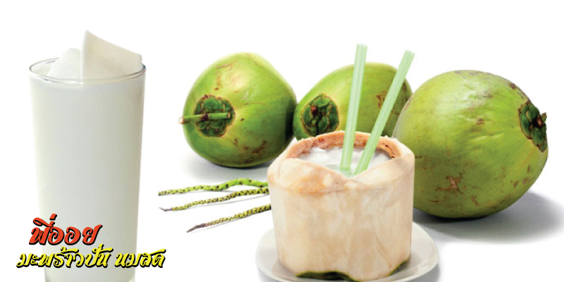 รับฟรี ไข่มุก (มูลค่า 5 บาท) เมื่อซื้อเครื่องดื่มชนิดใดก็ได้ ที่ร้านพี่ออย มะพร้าวปั่น นมสด