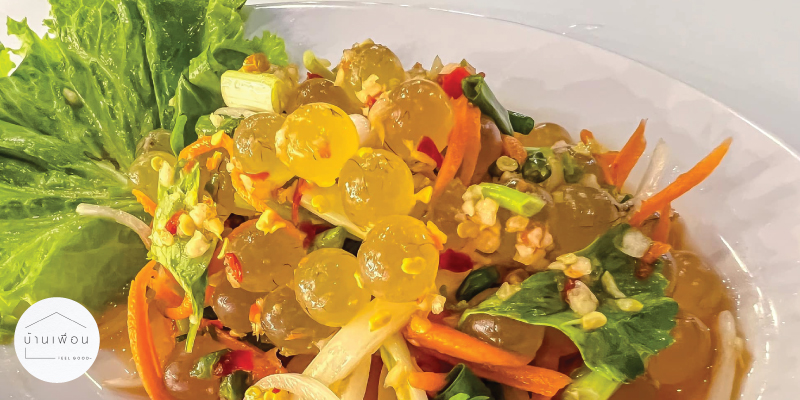 ส่วนลด 20% ค่าอาหาร เมื่อทานครบ 1,000 บาท ที่ร้านบ้านเพื่อน-Feelgood
