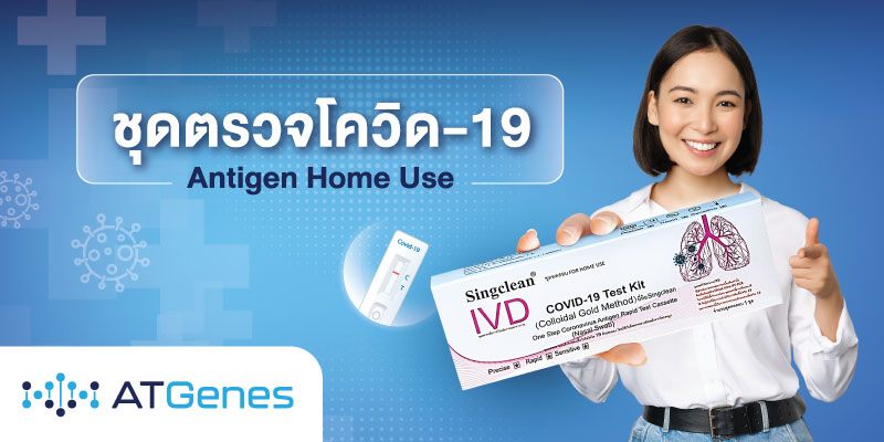 รับสิทธิ์ซื้อชุดตรวจโควิด-19 Antigen Home Use 39 บาท/ชุด (จากราคาปกติ 120 บาท)