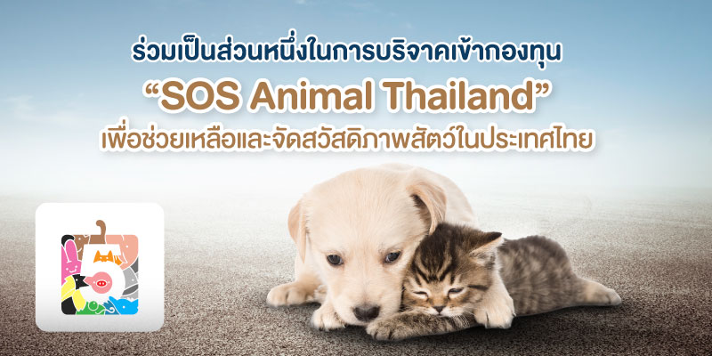 ร่วมแลกพอยต์เพื่อบริจาคให้ SOS Animal Thailand