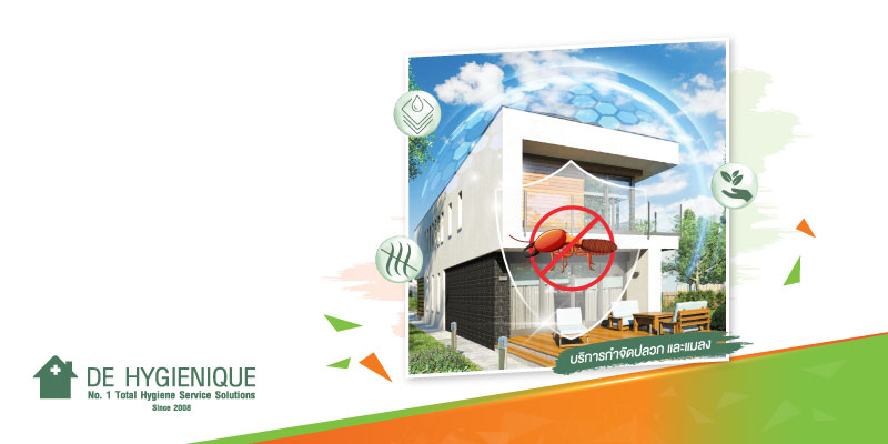 รับส่วนลดสูงสุด 15% เมื่อรับบริการกำจัดปลวก และแมลง